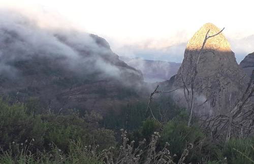 casa mariposa - Foto 28