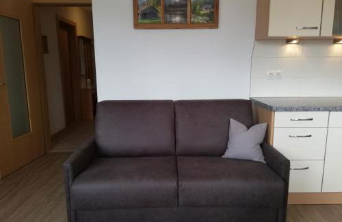 Pramstaller Apartments - Photo 34