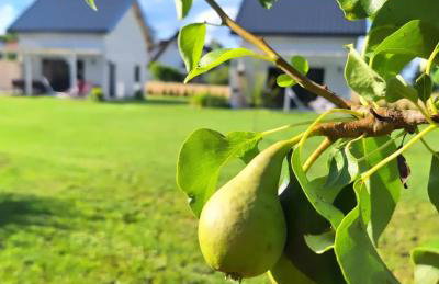 Domek Kaszubski Chill 1 - Foto 32