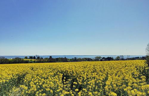 Penty Kersiguénou à Crozon - Vue mer - Photo 23