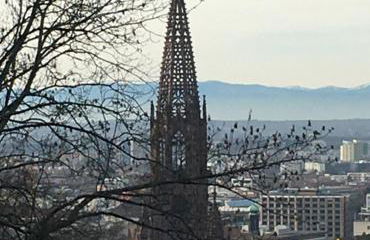 Haus Anneliese - Foto 1