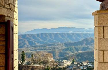 Βίτσα Πετρόκτιστο Αρχοντικό "Ιόλη" με θέα Ζαγόρι - Foto 22