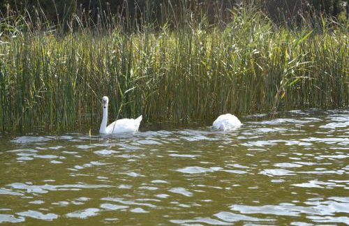 Cierzpięty 23c - Foto 11