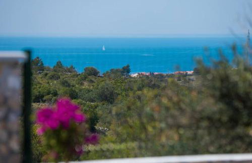 Family friendly house with a swimming pool Stupin Celine, Rogoznica - 18194 - Photo 17