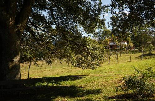 Casa de Fazenda Histórica, Mergulhada na Natureza, com Vista Panorâmica Deslumbrante e Grande Varanda a 2 km do Centro - Foto 31