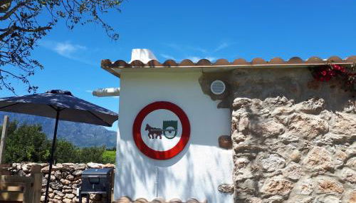 El Establo - Photo 2