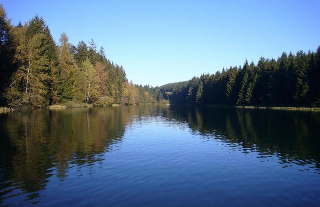 Kurzurlaub in Bockswiese, Hahnenklee - Foto 22