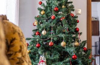 The Lily Nest - Foto 9