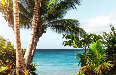 Breezy Beachfront Bali-Style Haven 180 Degree OceanView - Photo 6