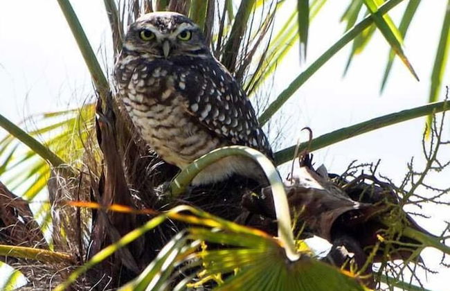 Sítio Mar de Nuvens Chalés de Luxo - Photo 75