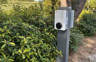 Agriturismo Tenuta Conti Faina - Foto 41