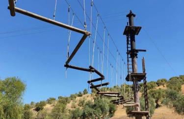 La escalera - Foto 29