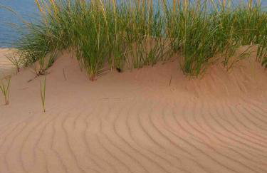 ☆Cherry Farmhouse☆60 Acres☆Central Air☆Fireplace - Foto 50