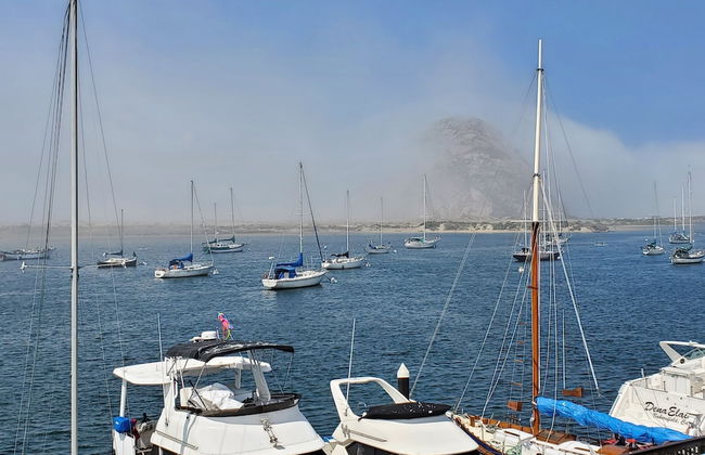 Gray's Inn & Gallery - Foto 25