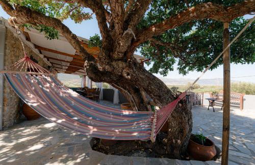 CostaRena Seaside Villa - Photo 6