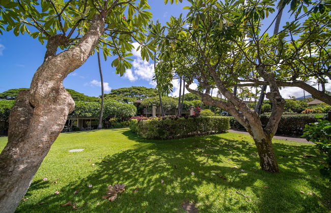 Napili Shores Maui by OUTRIGGER - Foto 32