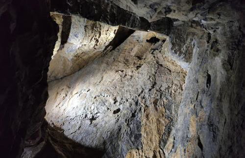 AS-Ferienwohnung - Foto 29