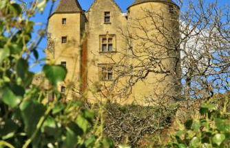 Petite maison en pierre au coeur du Périgord noir proche de Sarlat et Rocamadour - Foto 55