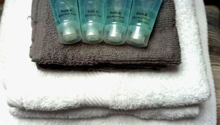 Lakeland Lodge - Foto 2, towels