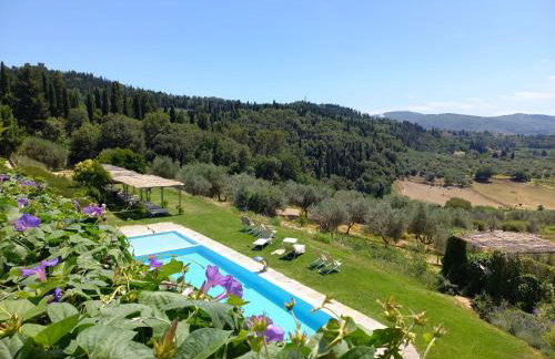 Fattoria di Maiano - Photo 54