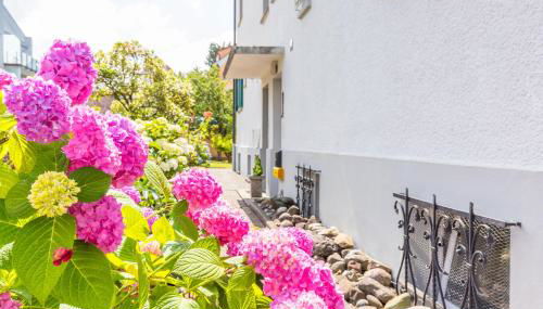 Ferienwohnungen Haus Christine - Foto 2, Garden