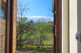 Da Taz Siena - Foto 3