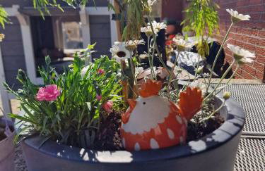 Haus-Fehmarn-am-Dorfteich-|-Wohnung-2-West - Foto 12