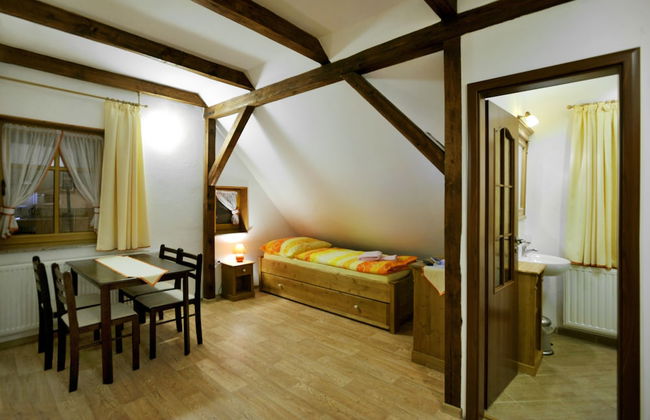 Pension Abertham - Foto 37