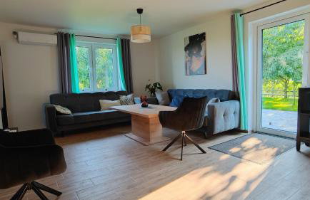 Domki w Winnicy - Świętokrzyska Winnica Knapów - Foto 39