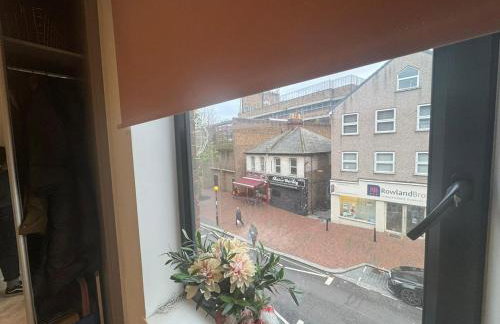 JVL Nice Cosy 1BR Flat Purley, London - Foto 5