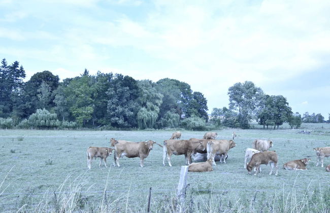 Spacious Apartment in Boddin near Baltic Sea - Foto 19