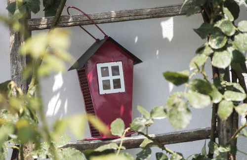 Agriturismo Albarossa - Foto 31