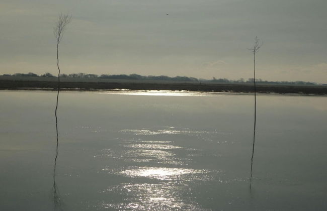 North Sea Holiday House Wellmeyer - Photo 9