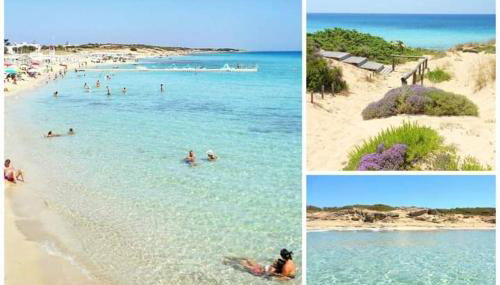 Il Maestrale - Foto 3