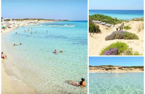 Il Maestrale - Foto 3