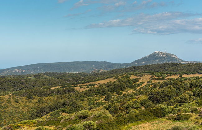 Finca Son Pere - Photo 24