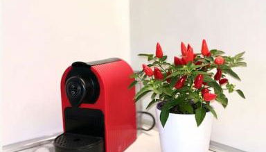 Libra Light - Foto 2