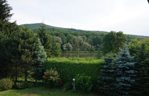 Ranczo Bieszczady duży Domek z Jacuzzi i Sauną - Foto 9