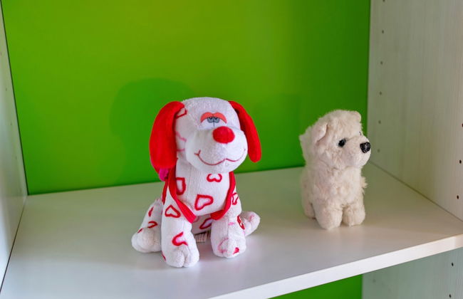 Butterfly place - Foto 4