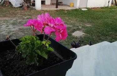 Peaceful cottage with incredible panoramic view - Foto 47