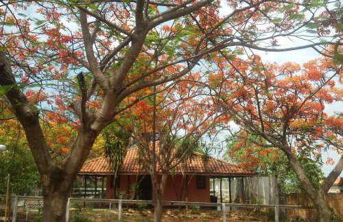 Mar Doce Boutique Hotel - Foto 78