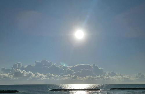 Giardino delle rose - Foto 55