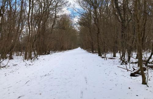 Ferienwohnungostseeblick - Foto 17