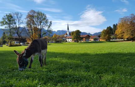 Ferienwohnung Sundratn - Foto 4