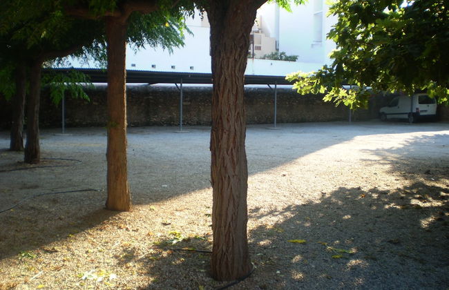 Apartamentos El Oasis - Foto 36