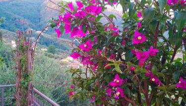 Tenuta Lombrica - Foto 2