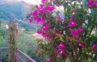 Tenuta Lombrica - Foto 2