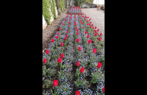 il nido nella quiete - Foto 59