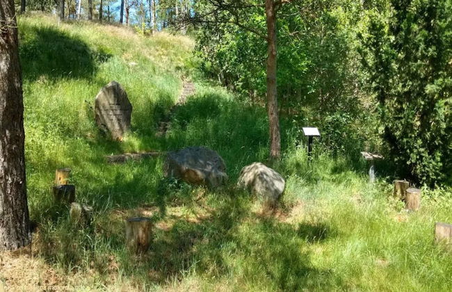 6 Person Holiday Home in Farvang - Foto 18