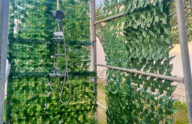 Hermes Grove - Foto 10